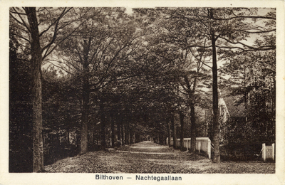 8387 Gezicht in de Nachtegaallaan te Bilthoven uit het oosten.